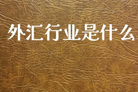 外汇行业是什么_https://cj002.lansai.wang_财经问答_第1张