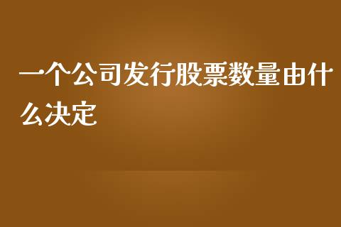 一个公司发行股票数量由什么决定_https://cj002.lansai.wang_理财问答_第1张