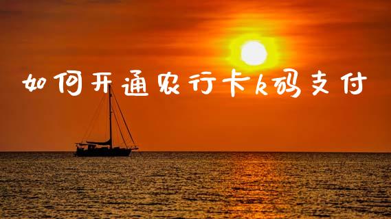 如何开通农行卡k码支付_https://cj002.lansai.wang_理财问答_第1张