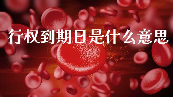 行权到期日是什么意思_https://cj002.lansai.wang_期货问答_第1张
