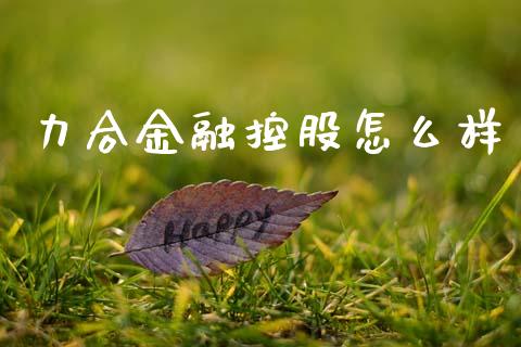 力合金融控股怎么样_https://cj002.lansai.wang_财经百问_第1张
