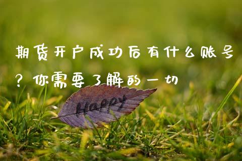 期货开户成功后有什么账号？你需要了解的一切_https://cj002.lansai.wang_金融问答_第1张