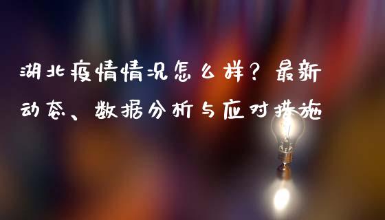 湖北疫情情况怎么样？最新动态、数据分析与应对措施_https://cj002.lansai.wang_期货问答_第1张