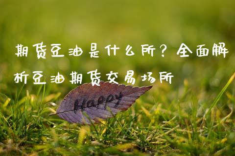 期货豆油是什么所？全面解析豆油期货交易场所_https://cj002.lansai.wang_金融问答_第1张