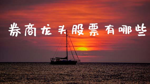 券商龙头股票有哪些_https://cj002.lansai.wang_期货问答_第1张