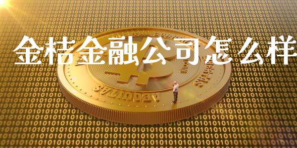 金桔金融公司怎么样_https://cj002.lansai.wang_理财问答_第1张