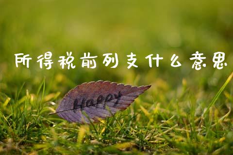 所得税前列支什么意思_https://cj002.lansai.wang_会计问答_第1张