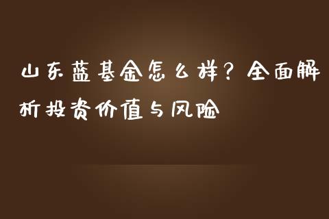 山东蓝基金怎么样？全面解析投资价值与风险_https://cj002.lansai.wang_理财问答_第1张
