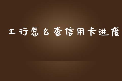 工行怎么查信用卡进度_https://cj002.lansai.wang_金融问答_第1张