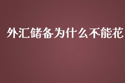 外汇储备为什么不能花_https://cj002.lansai.wang_保险问答_第1张