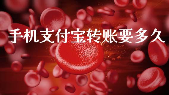 手机支付宝转账要多久_https://cj002.lansai.wang_理财问答_第1张