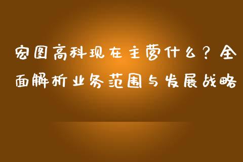 宏图高科现在主营什么？全面解析业务范围与发展战略_https://cj002.lansai.wang_期货问答_第1张