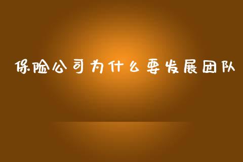 保险公司为什么要发展团队_https://cj002.lansai.wang_财经百问_第1张