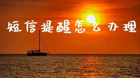 短信提醒怎么办理_https://cj002.lansai.wang_金融问答_第1张