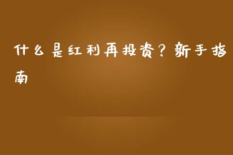 什么是红利再投资?新手指南_财经百问_第1张_财经百问网 什么是红利再投资?新手指南_https://cj002.lansai.wang_财经百问_第1张