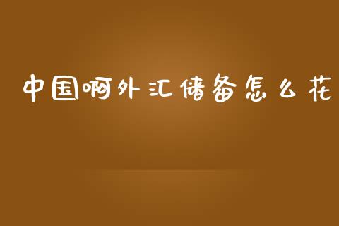 中国啊外汇储备怎么花_理财问答_第1张_财经百问网 中国啊外汇储备怎么花_https://cj002.lansai.wang_理财问答_第1张