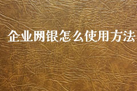 企业网银怎么使用方法_https://cj002.lansai.wang_金融问答_第1张