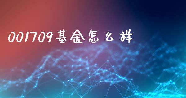 001709基金怎么样_https://cj002.lansai.wang_会计问答_第1张