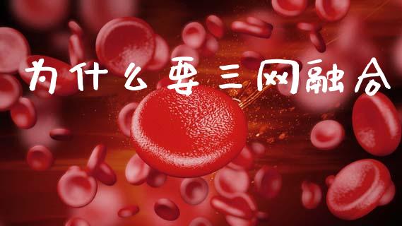 为什么要三网融合_https://cj002.lansai.wang_股市问答_第1张