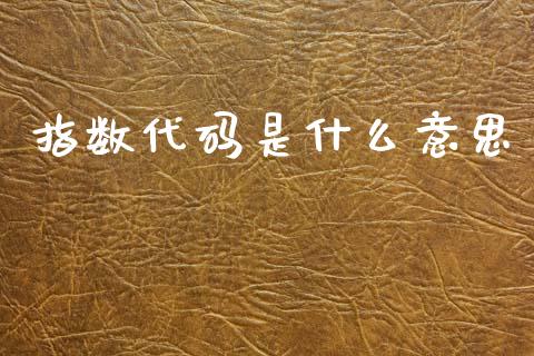 指数代码是什么意思_https://cj002.lansai.wang_财经问答_第1张