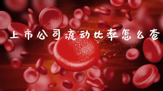 上市公司流动比率怎么查_https://cj002.lansai.wang_股市问答_第1张