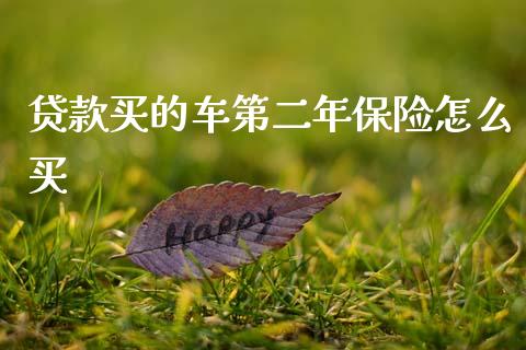 贷款买的车第二年保险怎么买_https://cj002.lansai.wang_保险问答_第1张