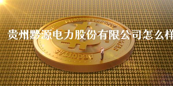 贵州黔源电力股份有限公司怎么样_https://cj002.lansai.wang_财经问答_第1张