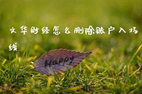 文华财经怎么删除账户入场线_https://cj002.lansai.wang_金融问答_第1张