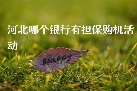 河北哪个银行有担保购机活动_会计问答_第1张_财经百问网 河北哪个银行有担保购机活动_https://cj002.lansai.wang_会计问答_第1张