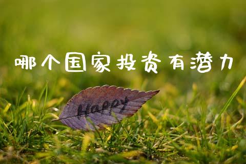 哪个国家投资有潜力_https://cj002.lansai.wang_金融问答_第1张