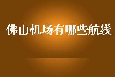 佛山机场有哪些航线_https://cj002.lansai.wang_期货问答_第1张