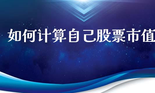 如何计算自己股票市值_https://cj002.lansai.wang_期货问答_第1张