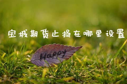 宝城期货止损在哪里设置_https://cj002.lansai.wang_金融问答_第1张