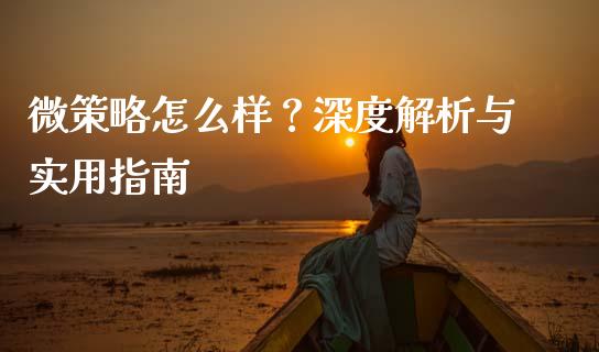 微策略怎么样？深度解析与实用指南_https://cj002.lansai.wang_金融问答_第1张