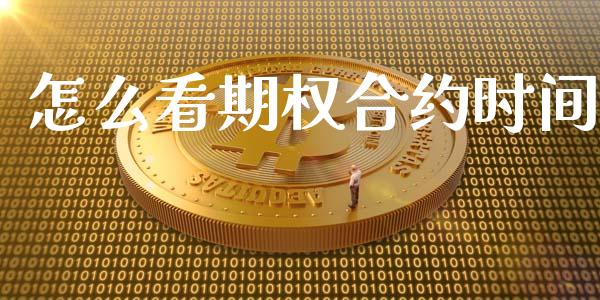 怎么看期权合约时间_https://cj002.lansai.wang_期货问答_第1张