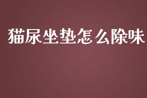 猫尿坐垫怎么除味_https://cj002.lansai.wang_金融问答_第1张