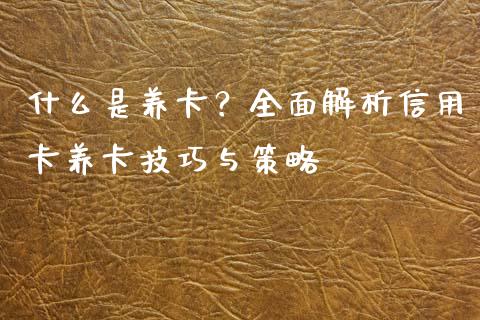 什么是养卡？全面解析信用卡养卡技巧与策略_https://cj002.lansai.wang_财经百问_第1张
