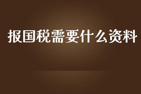报国税需要什么资料_https://cj002.lansai.wang_会计问答_第1张