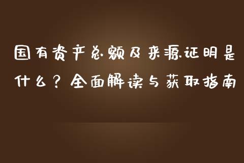 国有资产总额及来源证明是什么？全面解读与获取指南_https://cj002.lansai.wang_金融问答_第1张