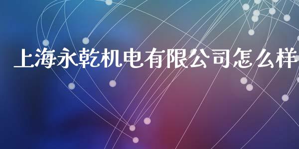 上海永乾机电有限公司怎么样_https://cj002.lansai.wang_会计问答_第1张