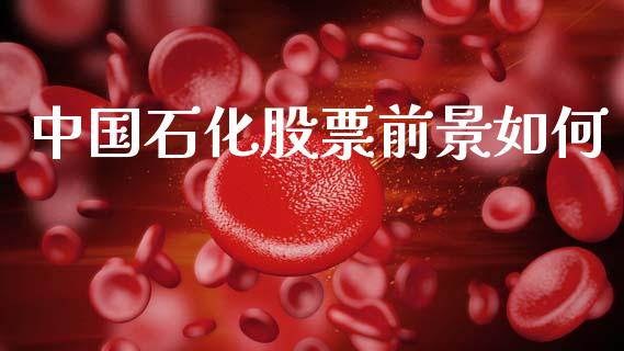 中国石化股票前景如何_https://cj002.lansai.wang_财经百问_第1张