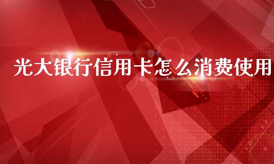 光大银行信用卡怎么消费使用_https://cj002.lansai.wang_金融问答_第1张