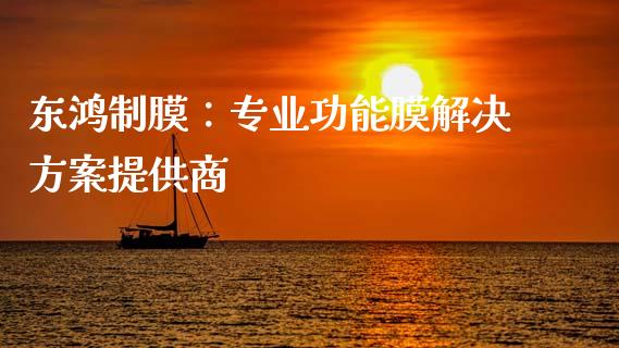 东鸿制膜：专业功能膜解决方案提供商_https://cj002.lansai.wang_股市问答_第1张