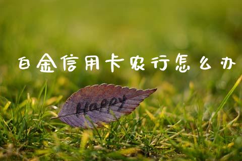 白金信用卡农行怎么办_https://cj002.lansai.wang_金融问答_第1张