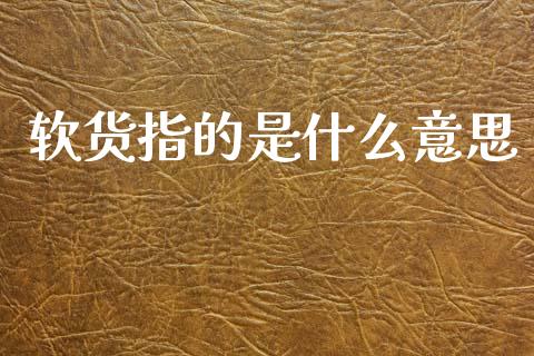 软货指的是什么意思_会计问答_第1张_财经百问网 软货指的是什么意思_https://cj002.lansai.wang_会计问答_第1张