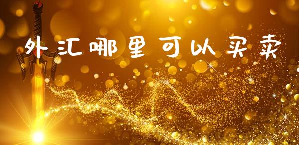 外汇哪里可以买卖_https://cj002.lansai.wang_财经问答_第1张