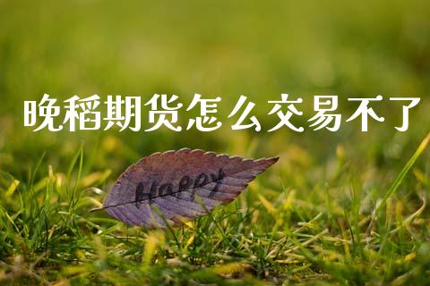 晚稻期货怎么交易不了_https://cj002.lansai.wang_会计问答_第1张