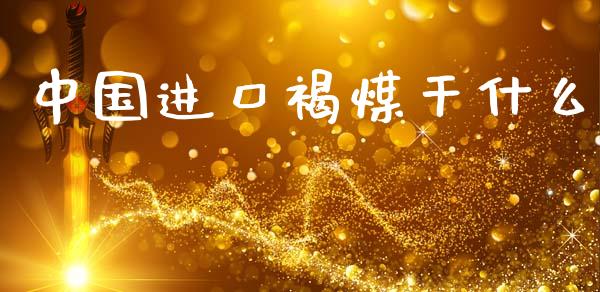 中国进口褐煤干什么_https://cj002.lansai.wang_期货问答_第1张