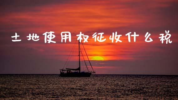 土地使用权征收什么税_https://cj002.lansai.wang_会计问答_第1张
