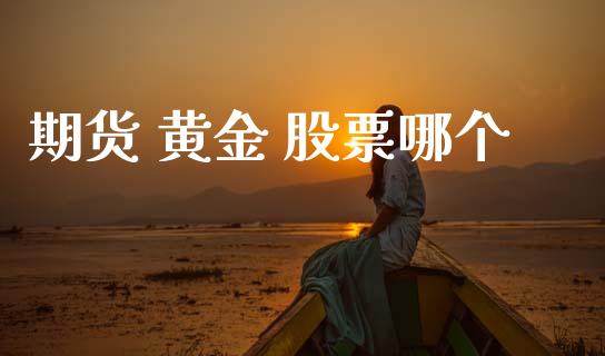 期货 黄金 股票哪个_https://cj002.lansai.wang_理财问答_第1张